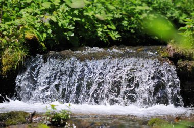 Dağ nehri