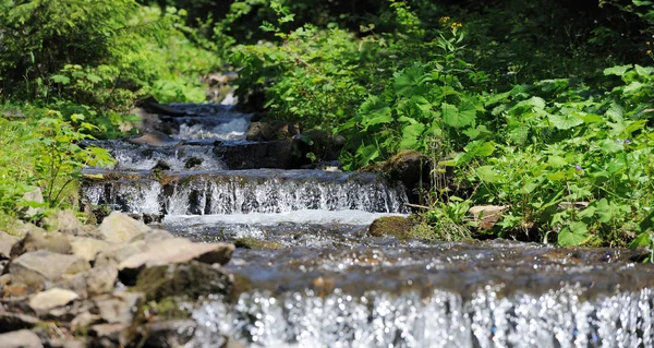 stock image Mountain river