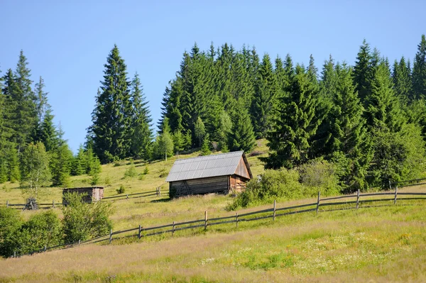 O casă veche în pădure — Fotografie, imagine de stoc
