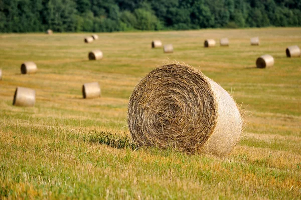 Straw bales in irish countryside — Stock Photo, Image