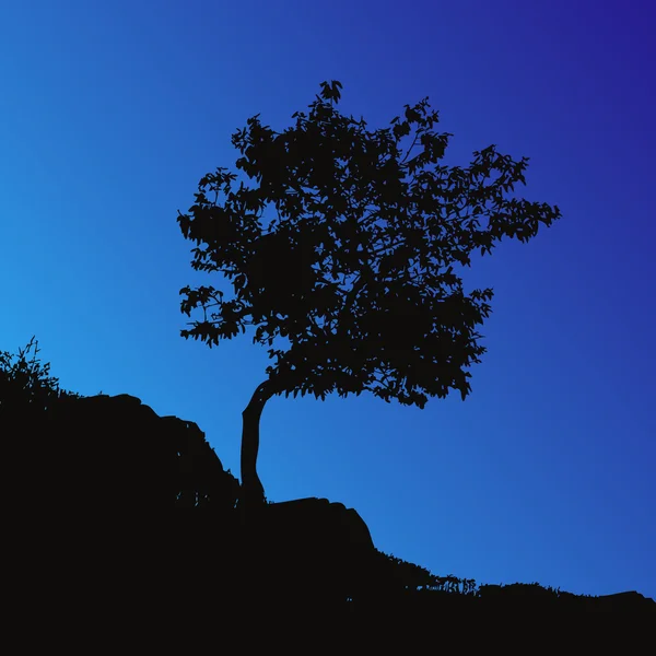 Ağaç artalan — Stok Vektör