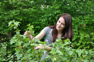 Gardening young woman clipart