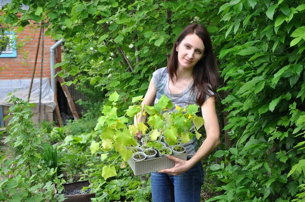 Young woman gardening — Stock Photo, Image