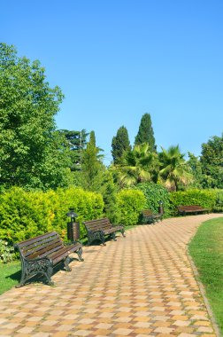 güzel tropik park