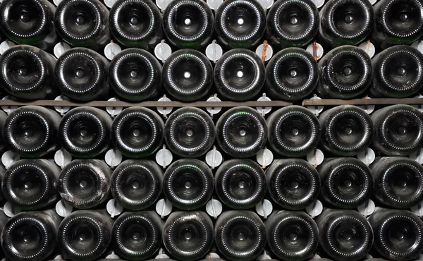 stock image Dusty bottle of champagne on the shelf