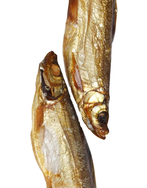 Dois peixes brancos fumados — Fotografia de Stock