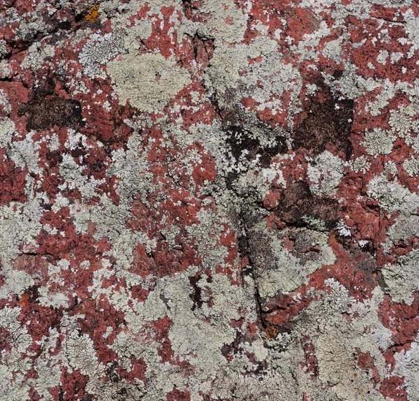 Rode granieten berg als achtergrond — Stockfoto