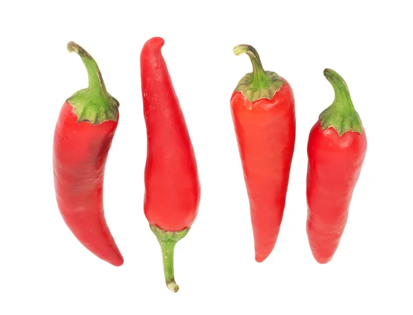 Vier rote Chilischoten isoliert auf weißem Hintergrund — Stockfoto
