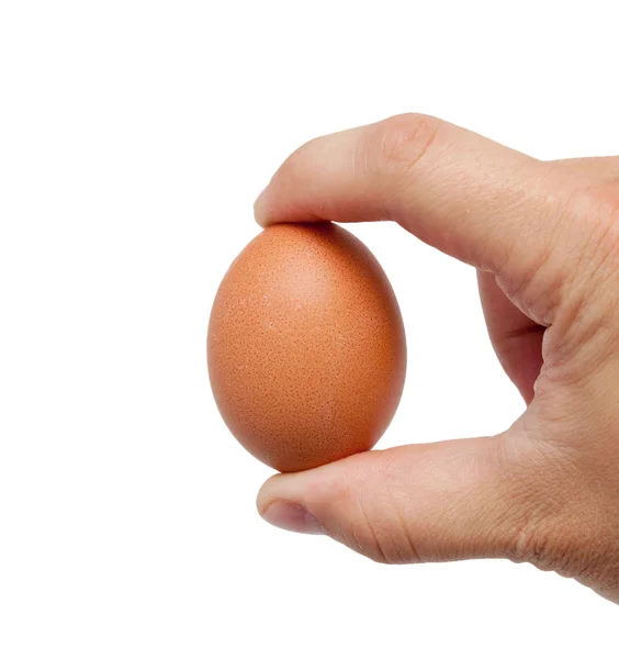 Καλά διαμορφωμένο ανδρών χέρι με ένα αυγό που απομονώνονται σε λευκό — Φωτογραφία Αρχείου