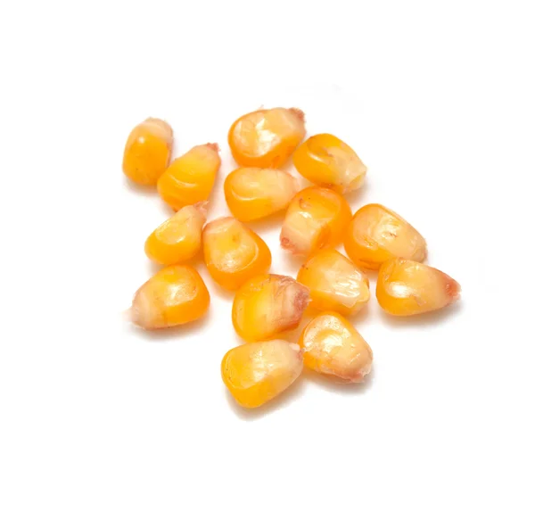 Желтое зерно кукурузы на белом фоне — стоковое фото