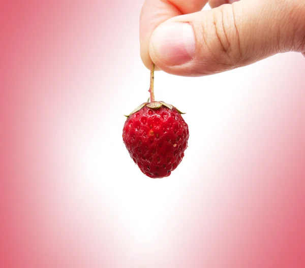 Strawberry in her hand — Stock Photo, Image