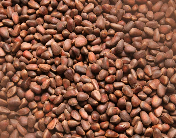 Pinjenötter i bakgrunden — Stockfoto