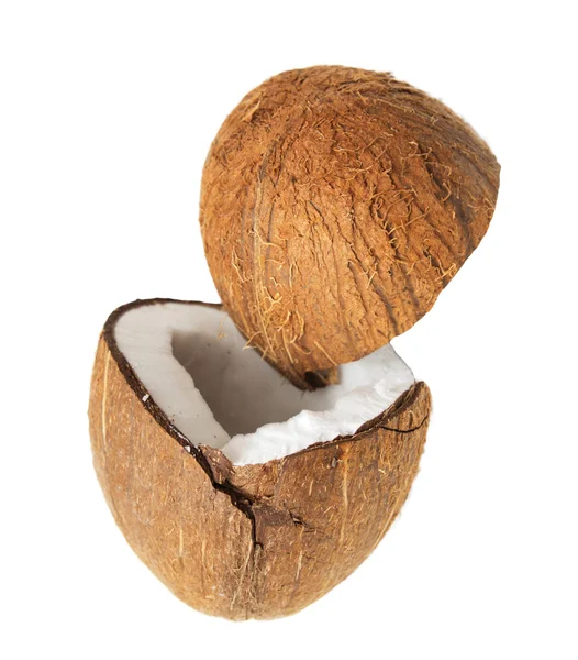 Coco isolado sobre fundo branco — Fotografia de Stock