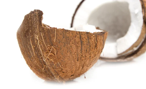 Detail popraskané kokosu na bílém pozadí s stín — Stock fotografie