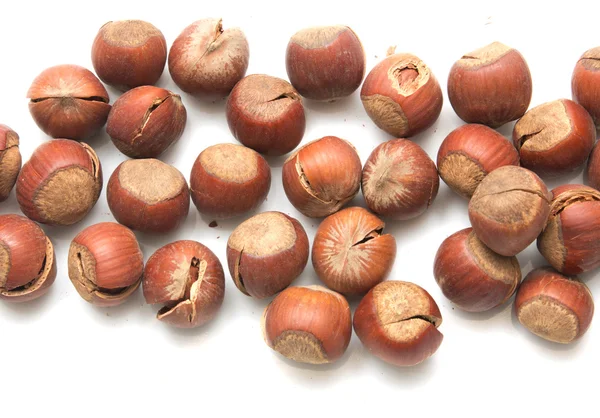 Hasselnötter på en vit bakgrund — Stockfoto