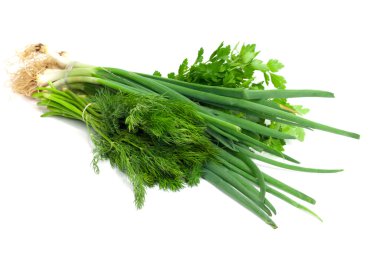 Parsley, fennel and green onions clipart