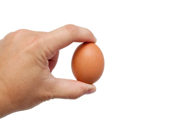 Gut geformte Männerhand mit einem Ei über Weiß isoliert — Stockfoto