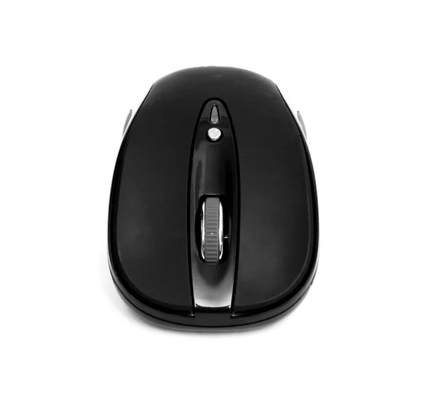 Mouse from the computer — Stock Photo, Image