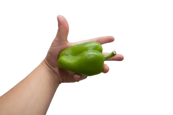 Green bell pepper in hand — Stock Photo, Image
