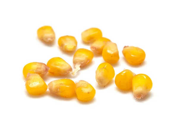 Grano de maíz amarillo sobre fondo blanco — Foto de Stock