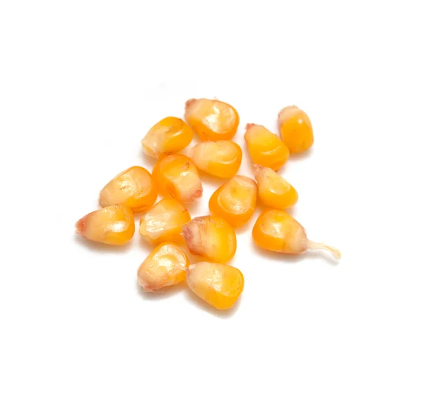 Gele maïs graan op witte achtergrond — Stockfoto