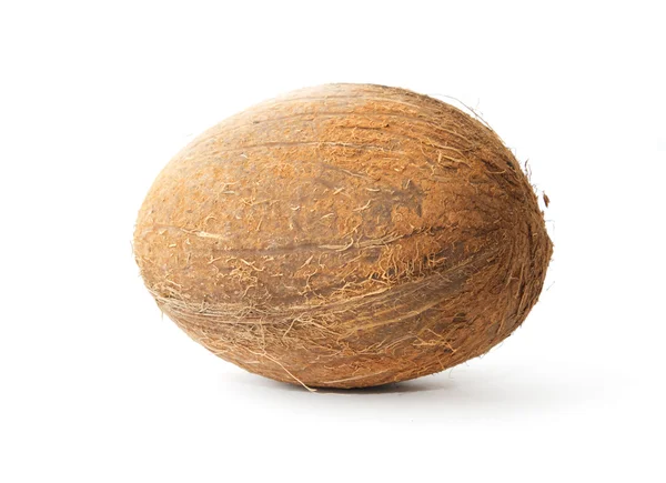 白い背景のココナッツ — ストック写真