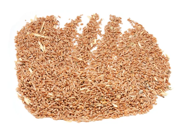 Пшениця в мисці ізольована на білому — стокове фото