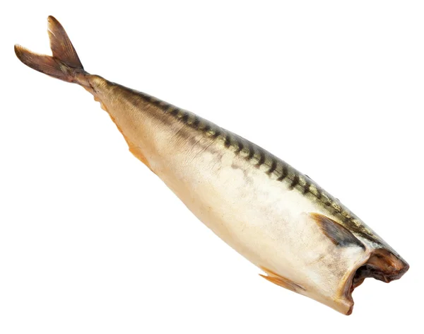 Gerookte makreel op een witte achtergrond — Stockfoto