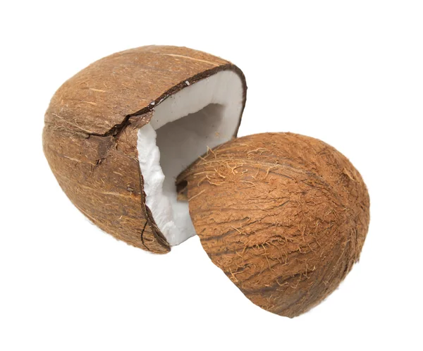 하얀 배경에 고립된 코코넛 — 스톡 사진