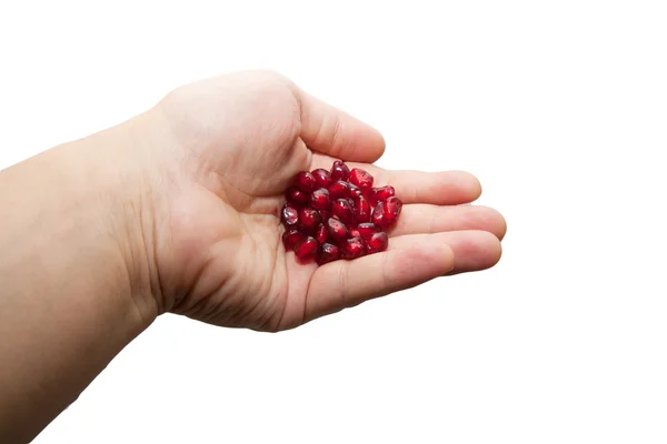 Red pomegranate in his hand — Stock Photo, Image
