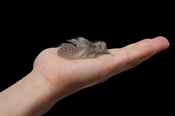 Hand catch a feather in a darkness — Stock Photo, Image