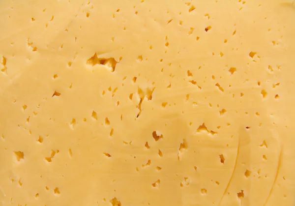 Hintergrund frischer gelber Schweizer Käse mit Löchern — Stockfoto