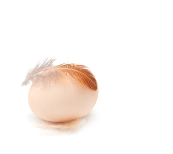 Ei met veren op een witte achtergrond — Stockfoto
