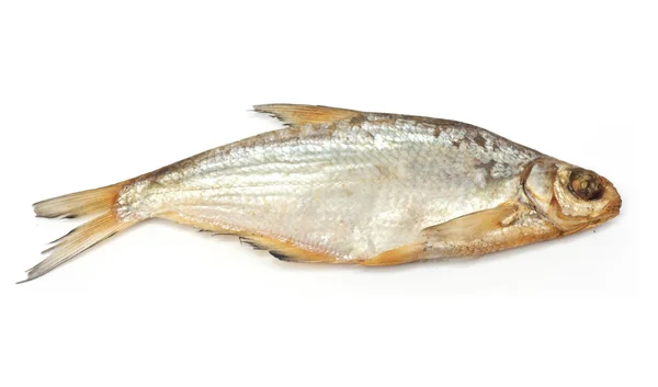 Sušené ryby na bílém pozadí — Stock fotografie