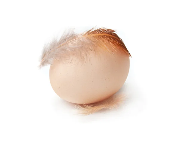 Stock image Egg with feathers on a white background