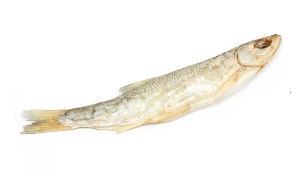 Αποξηραμένα ψάρια σε λευκό φόντο — Φωτογραφία Αρχείου