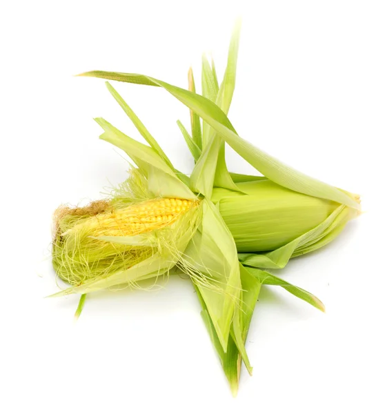 Corn on a white background — Stock Photo, Image