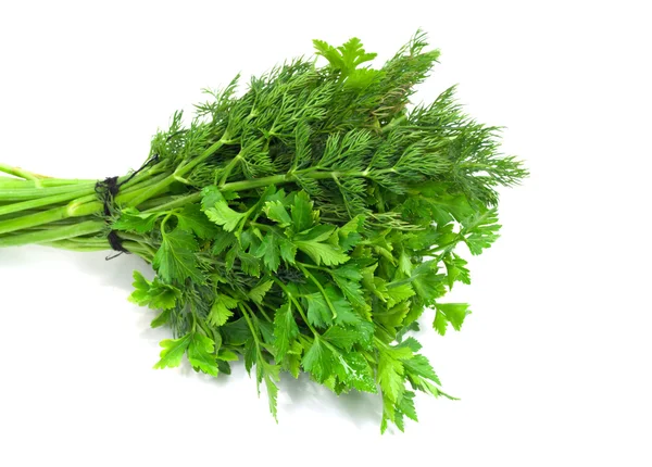 Dill parsley to spices bunch isolated on white background — Stock Photo, Image
