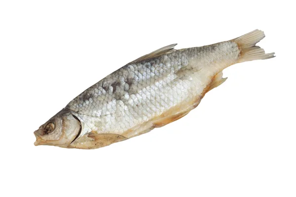 Gedroogde redeye vis geïsoleerd op witte achtergrond — Stockfoto