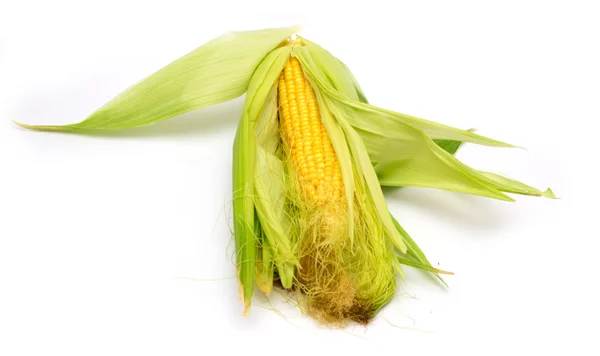 白色背景的玉米 — 图库照片