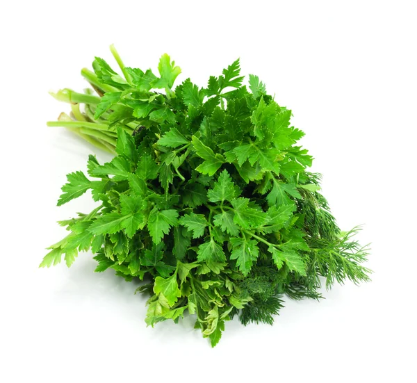 Dill parsley to spices bunch isolated on white background — Stock Photo, Image