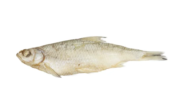 在白色背景上孤立的干的红眼鱼 — 图库照片