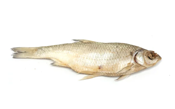 Pesce essiccato su fondo bianco — Foto Stock