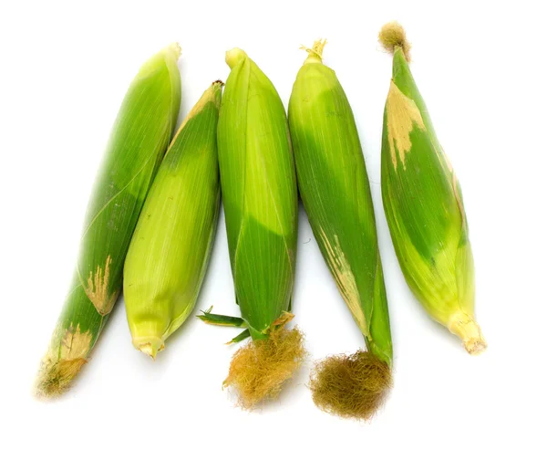 Corn on a white background — Stock Photo, Image