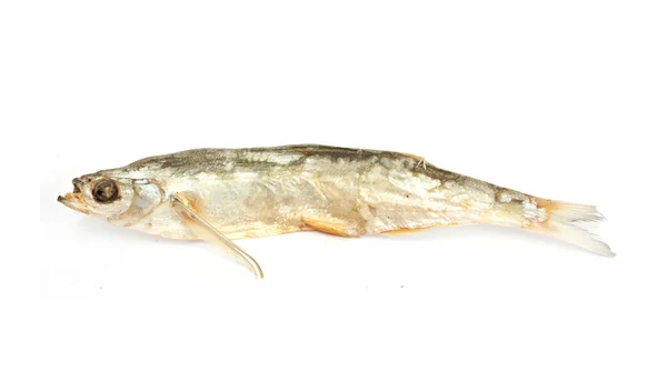 Ikan kering dengan latar belakang putih — Stok Foto
