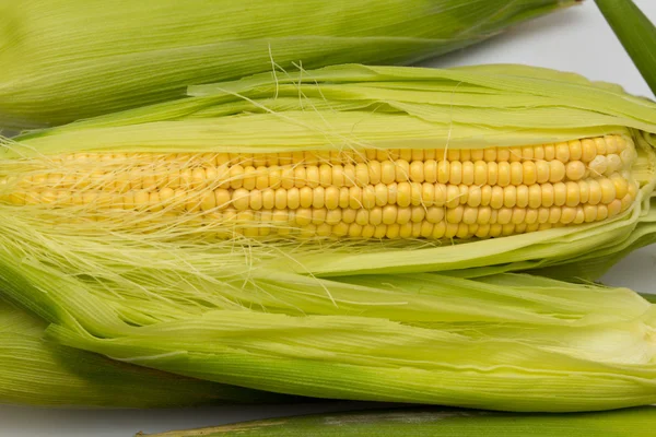 Mazorca de maíz entre hojas verdes — Foto de Stock