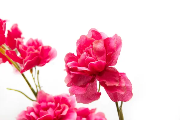 Artificial red flowers on a white background — Stock Photo, Image