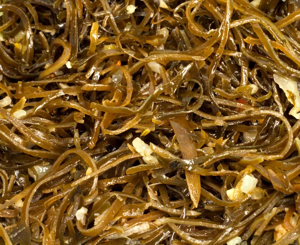 stock image Heap of healthy laminaria close-up.