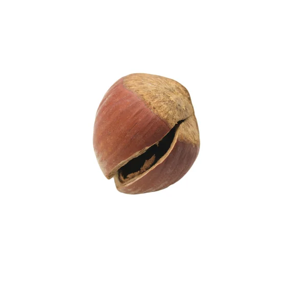 Lískové ořechy na bílém pozadí — Stock fotografie