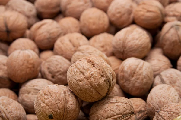 Hnědá syrové ořechy texturou pozadí — Stock fotografie